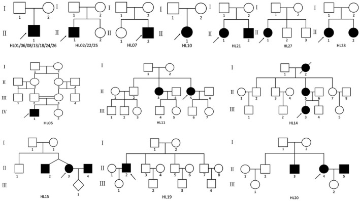 FIGURE 1