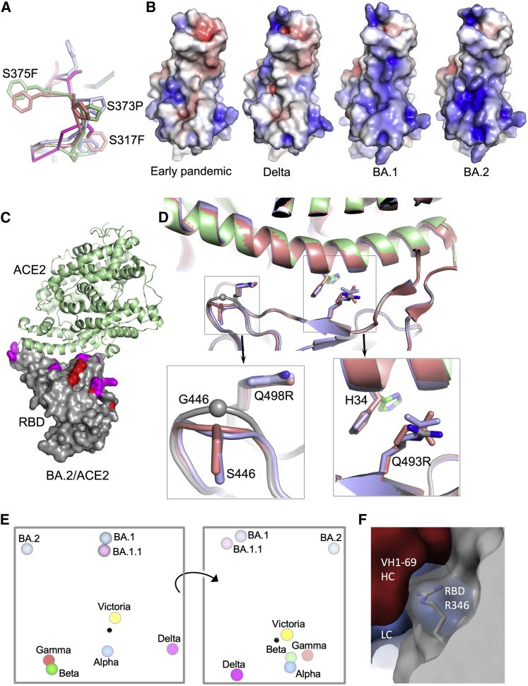 Figure 7