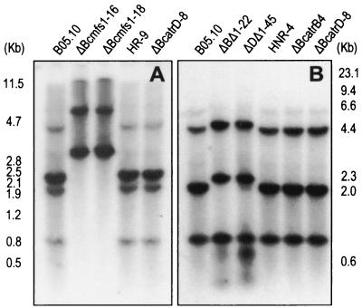 FIG. 2.