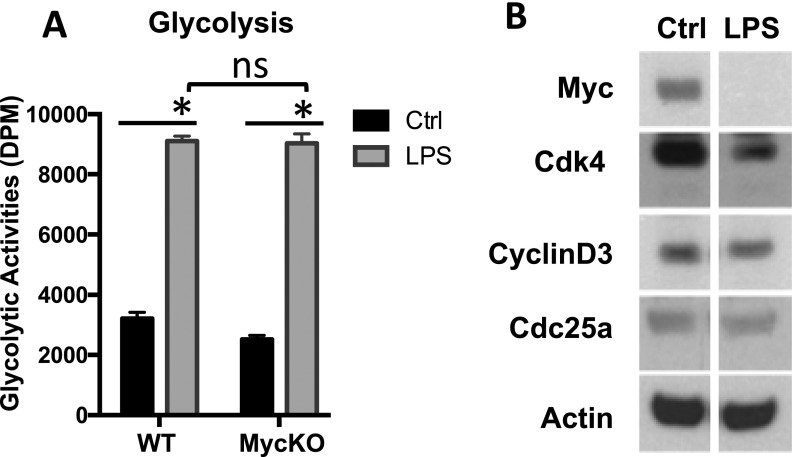 Fig. S3.