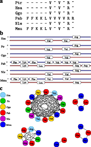 Fig. 6