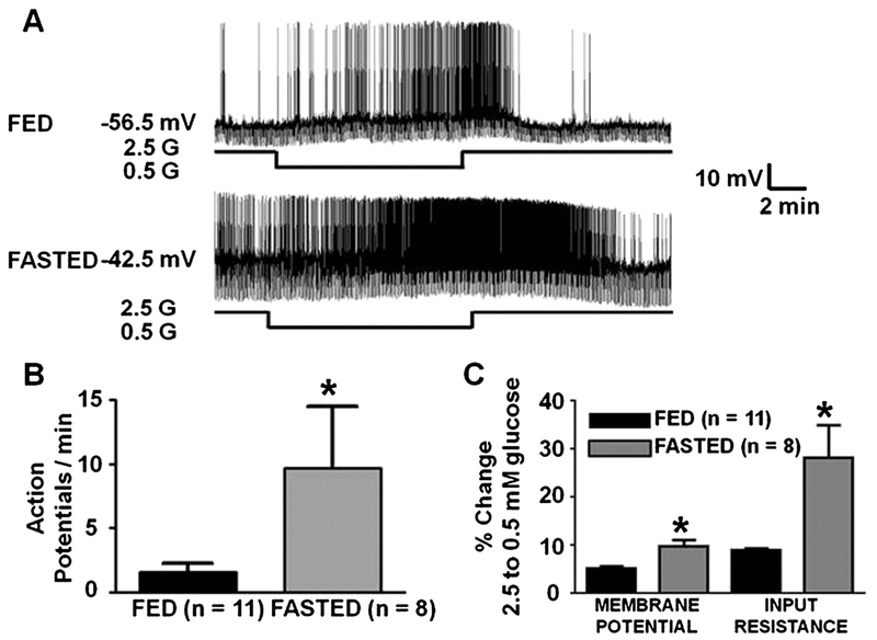 Fig. 6.