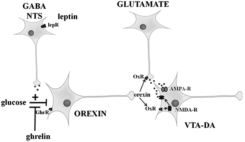 Fig. 9.