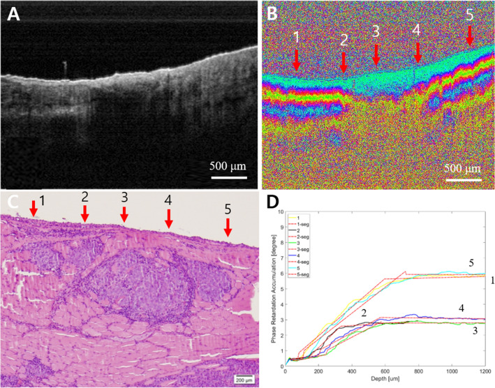 Fig. 7