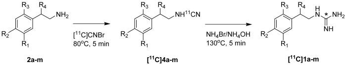 Scheme 2