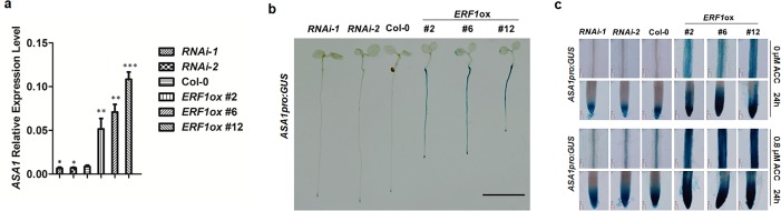 Fig 5