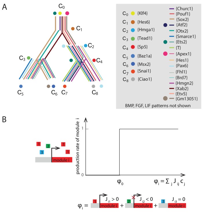 Figure 4—figure supplement 1.