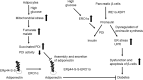 FIG. 9.