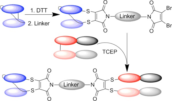 Scheme 4