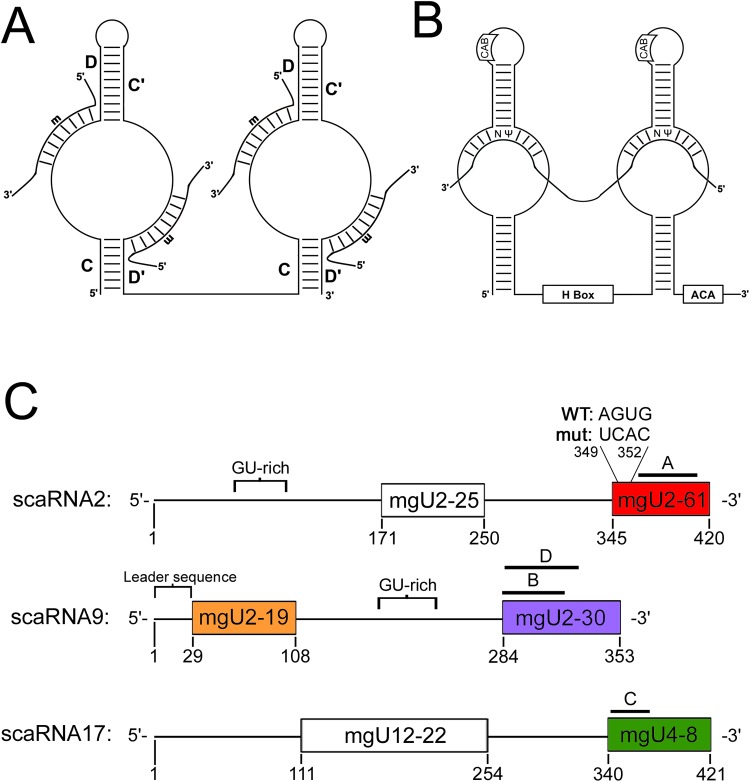 Fig. 1.