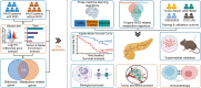 Graphical Abstract