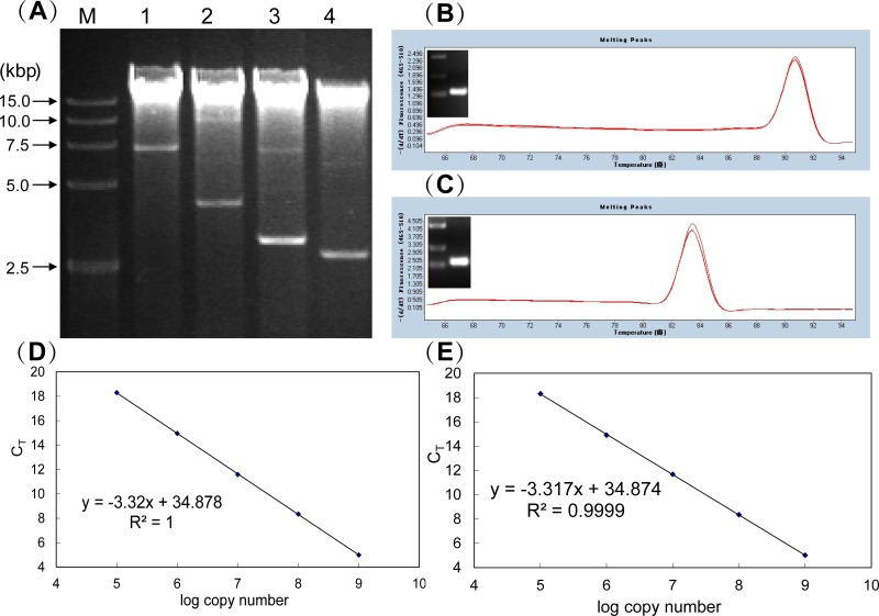 Fig 3