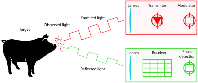 Figure 7