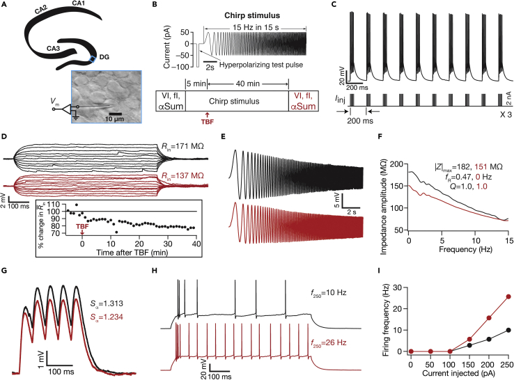 Figure 1