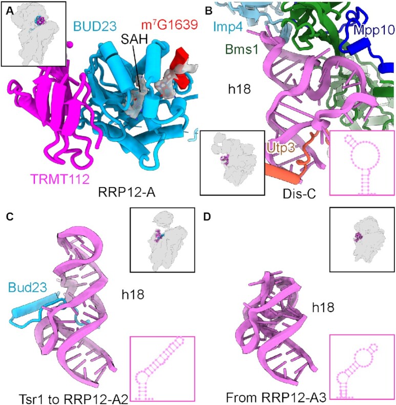 Figure 4.