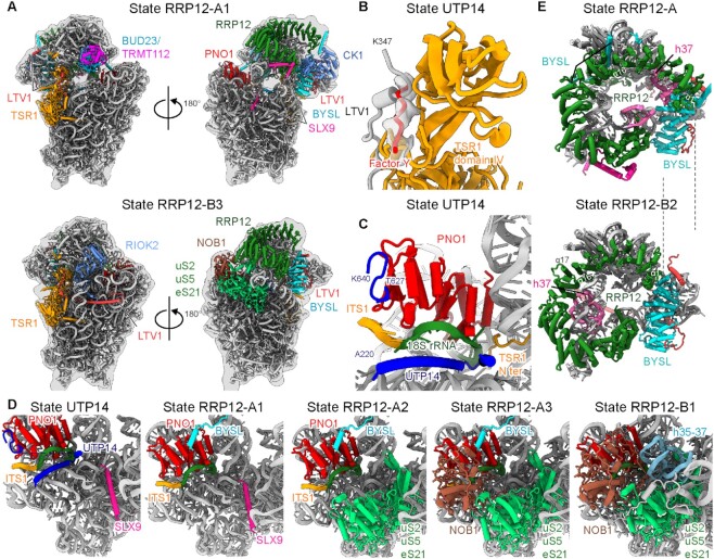 Figure 3.