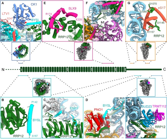 Figure 6.