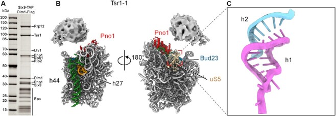 Figure 2.