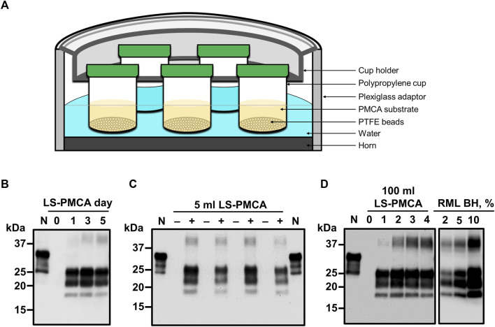 FIGURE 3