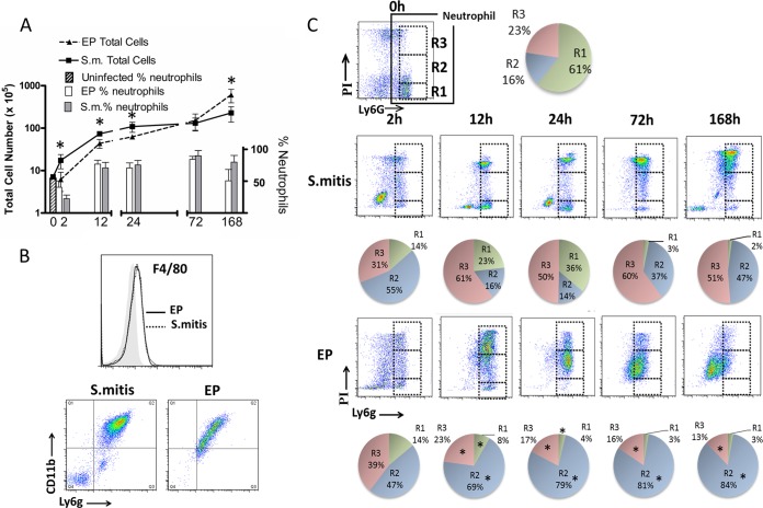 FIG 3