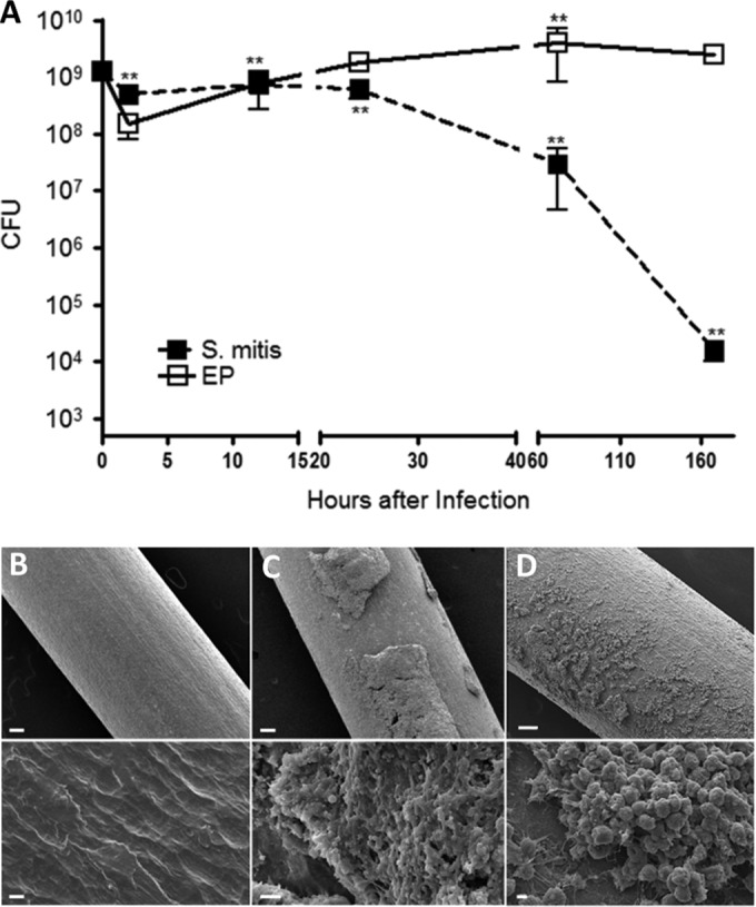 FIG 2