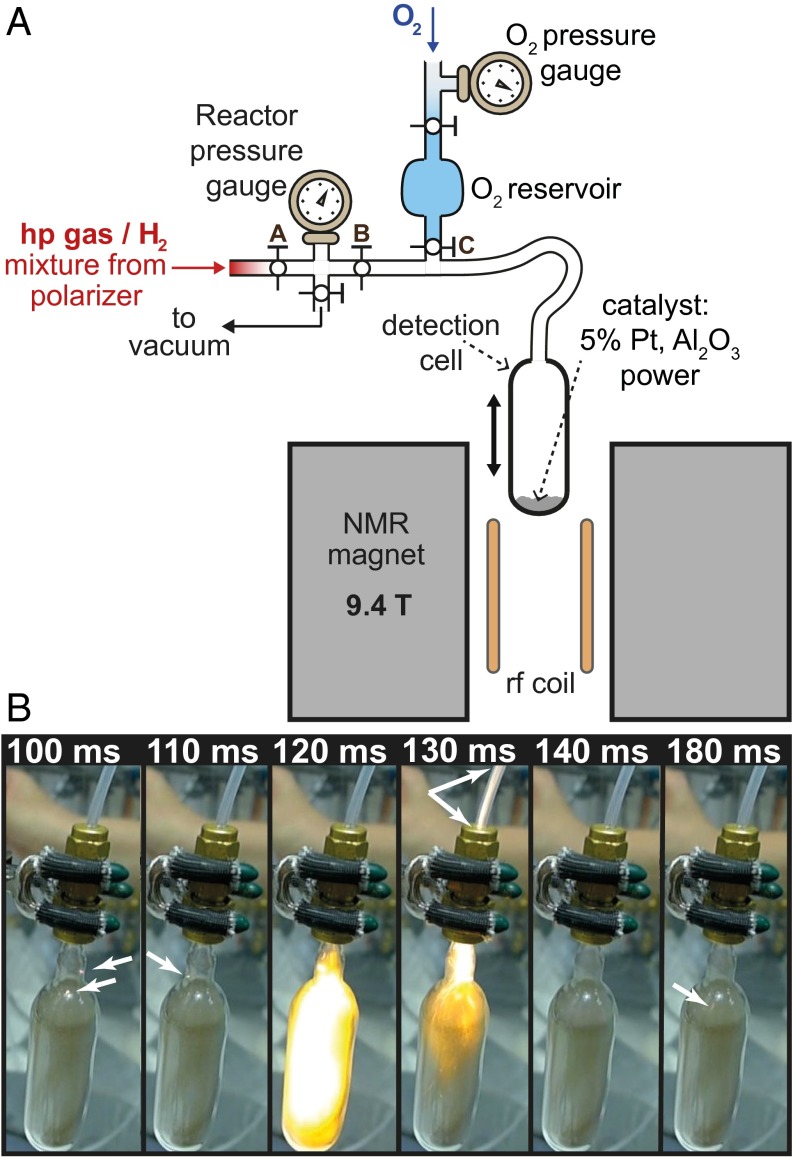 Fig. 2.