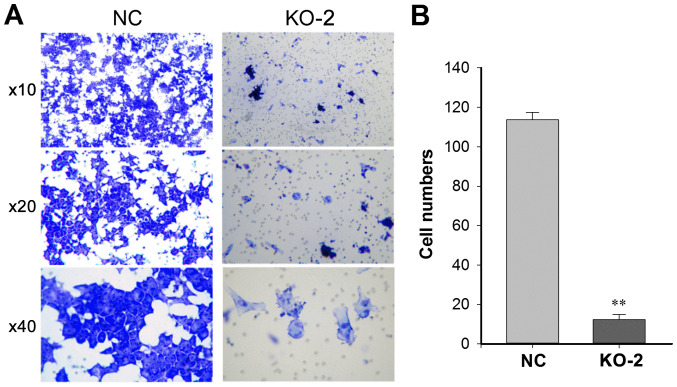 Figure 4.