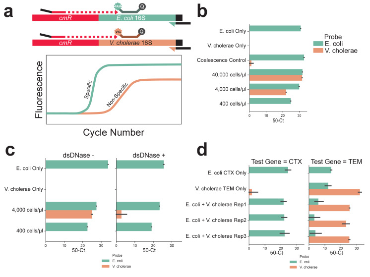 Figure 1—figure supplement 3.