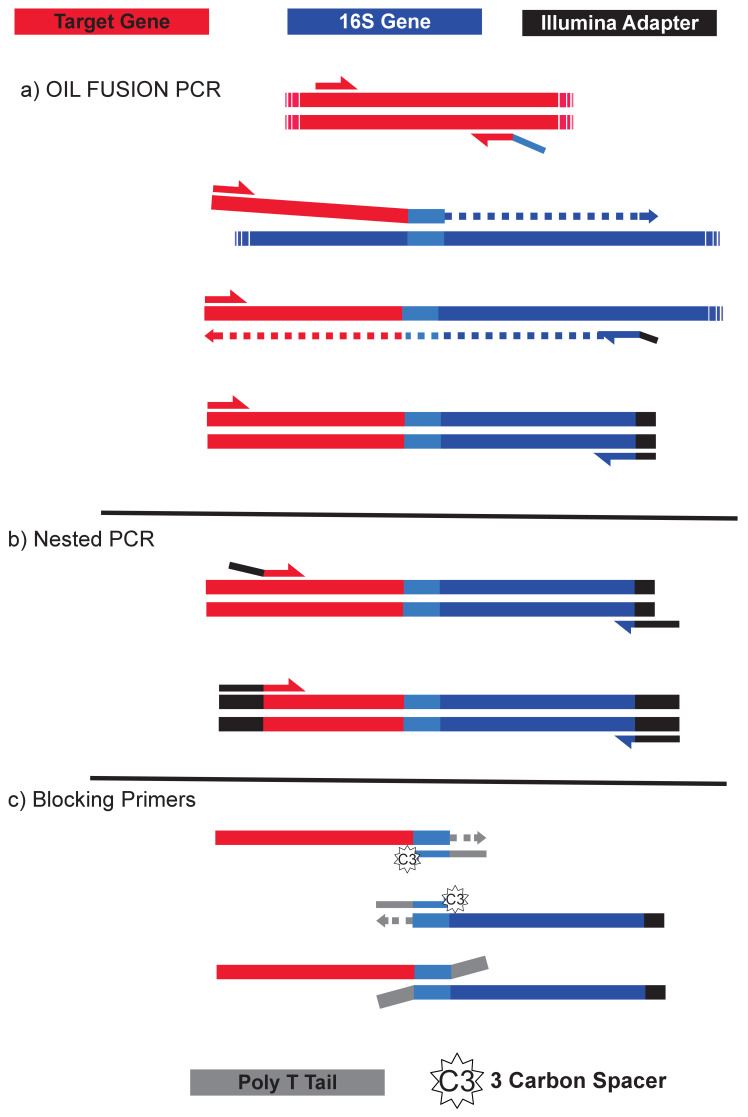 Figure 1—figure supplement 1.