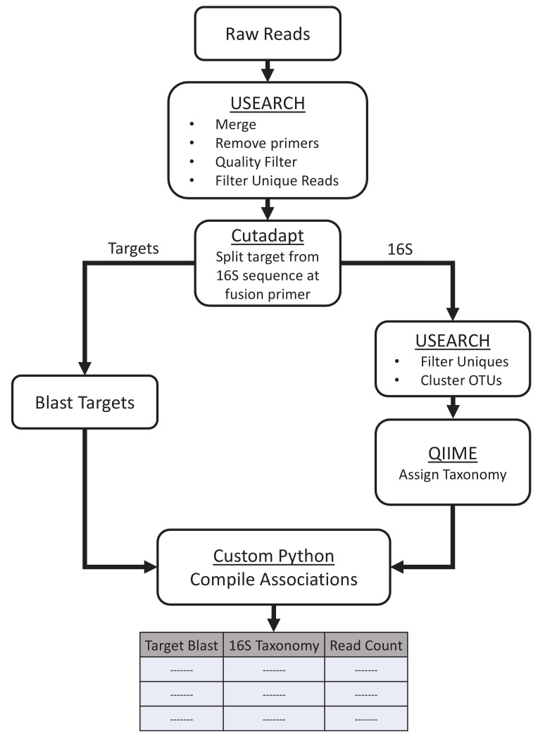 Figure 1—figure supplement 4.