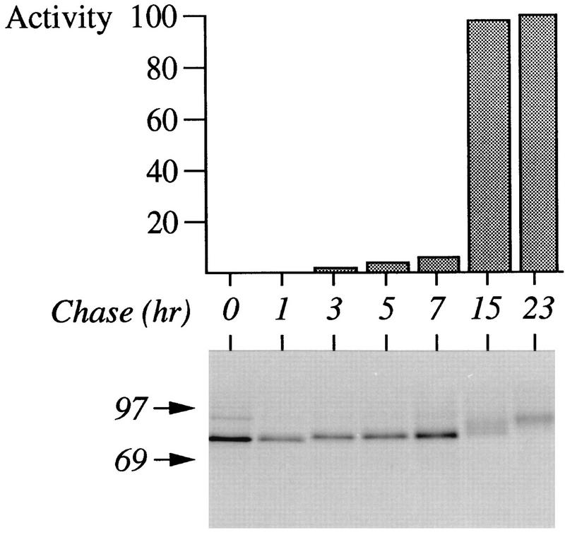 FIG. 6