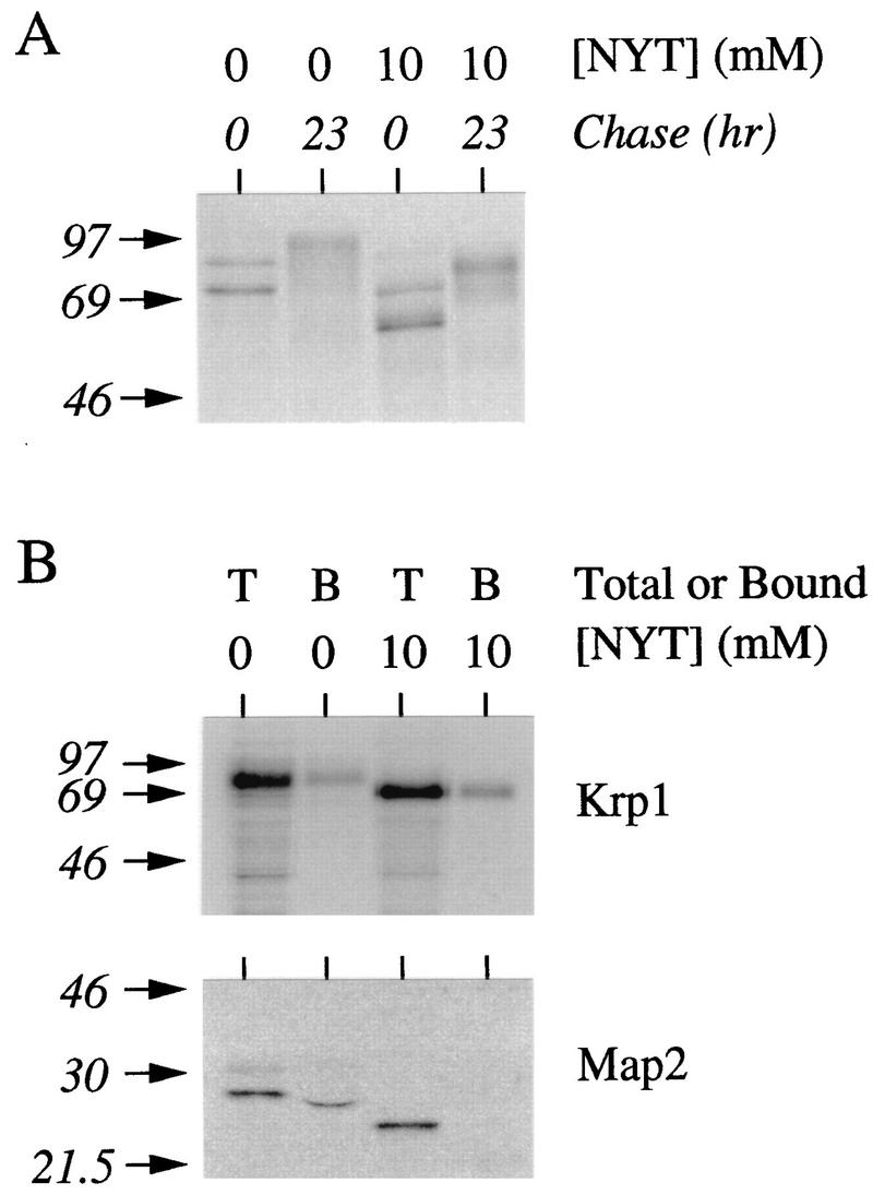 FIG. 7