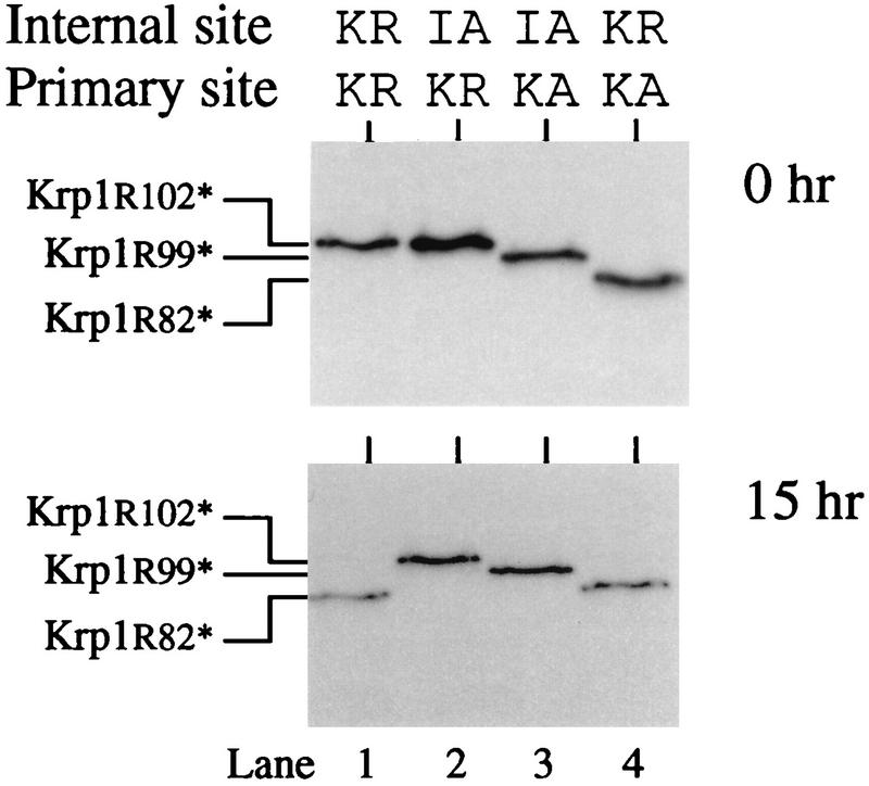 FIG. 8