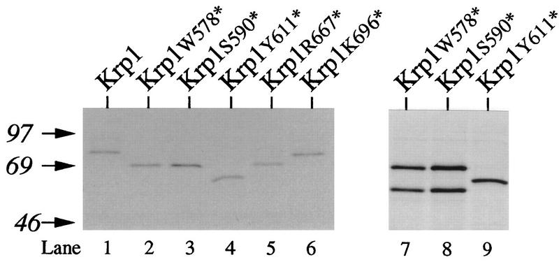 FIG. 5