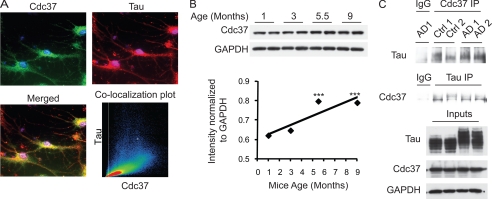 FIGURE 4.