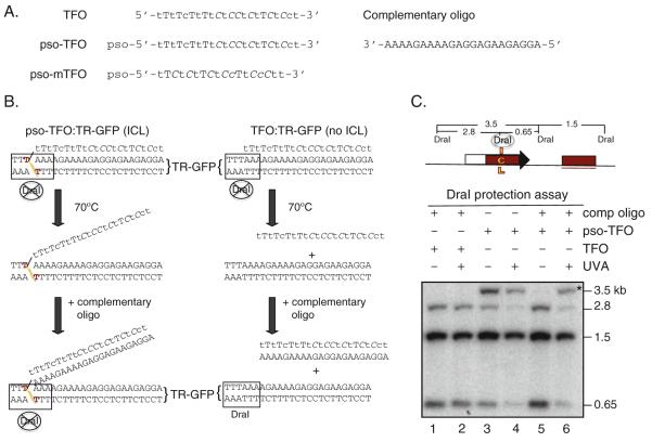 Fig. 16.2