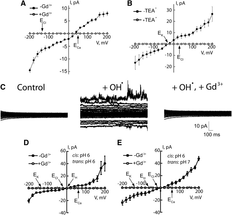 Figure 7.