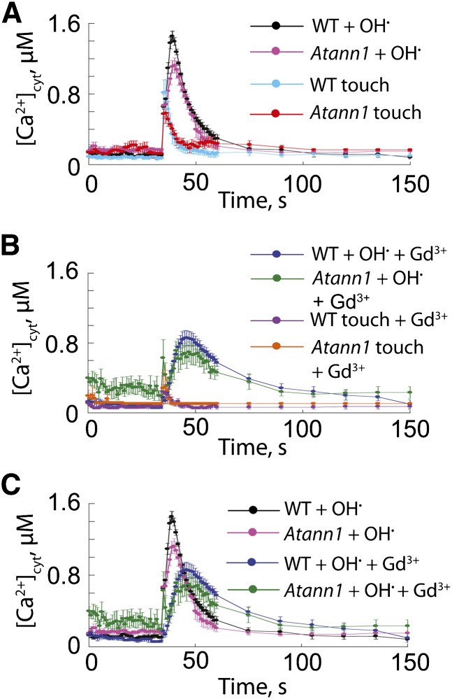 Figure 3.