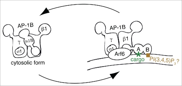 Figure 2.