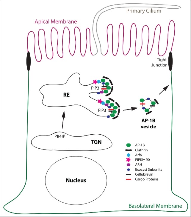 Figure 3.