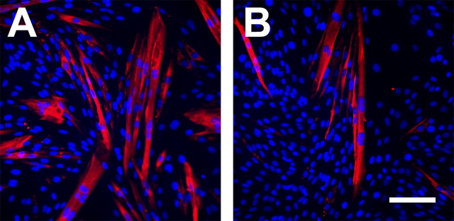 Figure 10.