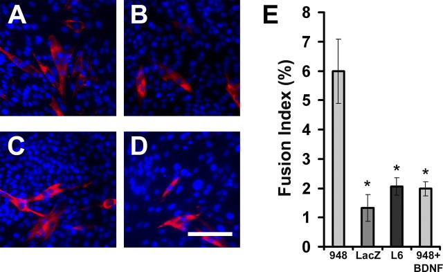 Figure 11.