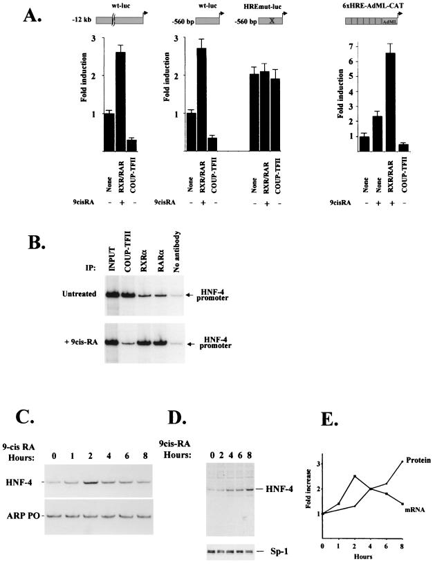 FIG. 7