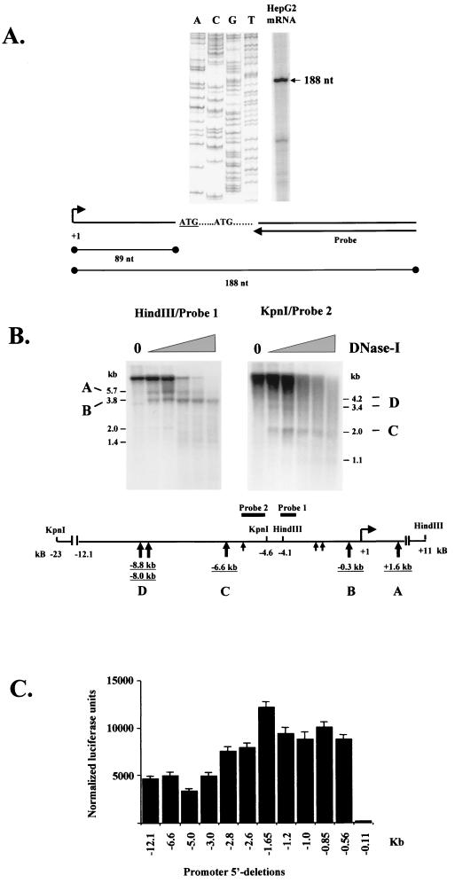 FIG. 1