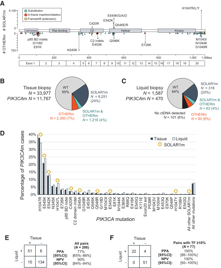 Figure 1. Prevalence of SOLAR1m and OTHERm in patients with breast cancer. A, PIK3CA mutations identified among 33,977 breast cancer tissue biopsies. Lollipops pointing upward correspond to the 11 substitution mutations defined in the SOLAR-1 trial (SOLAR1m). All other known and likely pathogenic mutations and indels are represented by lollipops pointing downward. Color coding denotes different variant types. An amino acid number ruler and exon demarcations are provided at the bottom. B, Pie chart summarizing the percentages of patients with PIK3CA mutations, as detected in tissue biopsies. “SOLAR1m & OTHERm” denotes at least 1 SOLAR1m and at least 1 OTHERm detected in the same biopsy. C, As in B, as detected in liquid biopsies, also denoting the percentage of patients without detectable ctDNA content. D, Detection of specific substitution mutations, deletions (p85 binding and C2 domains), and exon 20 extensions (frameshift or nonstop) by tissue and liquid biopsies. SOLAR1m are denoted with a sun icon. “All other mutations” denotes other pathogenic mutations that were detected at lower rates. E, Detection of PIK3CA mutations in tissue and liquid biopsies from 206 patients with both CGP results available. Sensitivity (PPA) and NPV were calculated with tissue as standard. F, As in E, but for the subset of 77 pairs where the liquid biopsy TF was ≥10%.