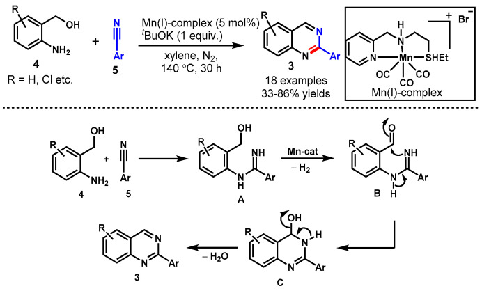 Scheme 5