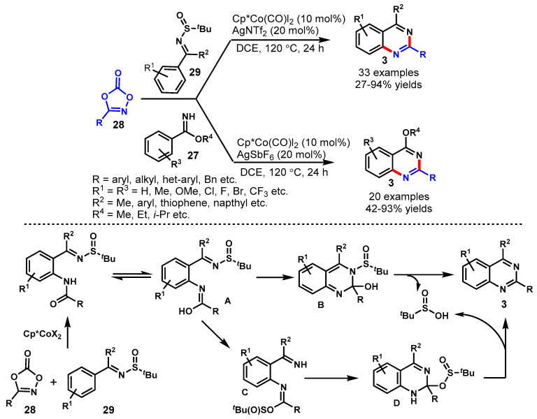 Scheme 16