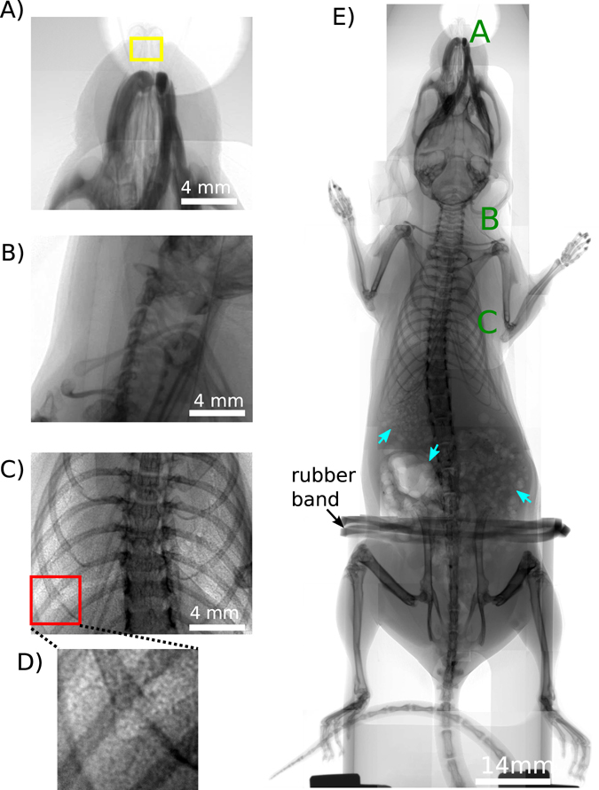 Figure 4