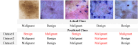 Figure 4: