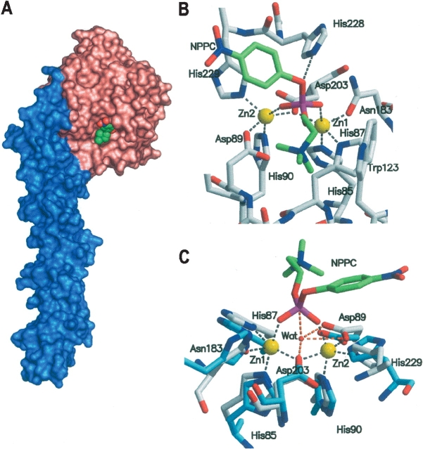 Figure 6.